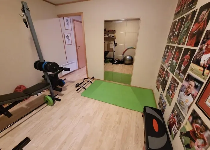 Hybelleilighet Grande Med Treningsrom I 公寓 Bardu